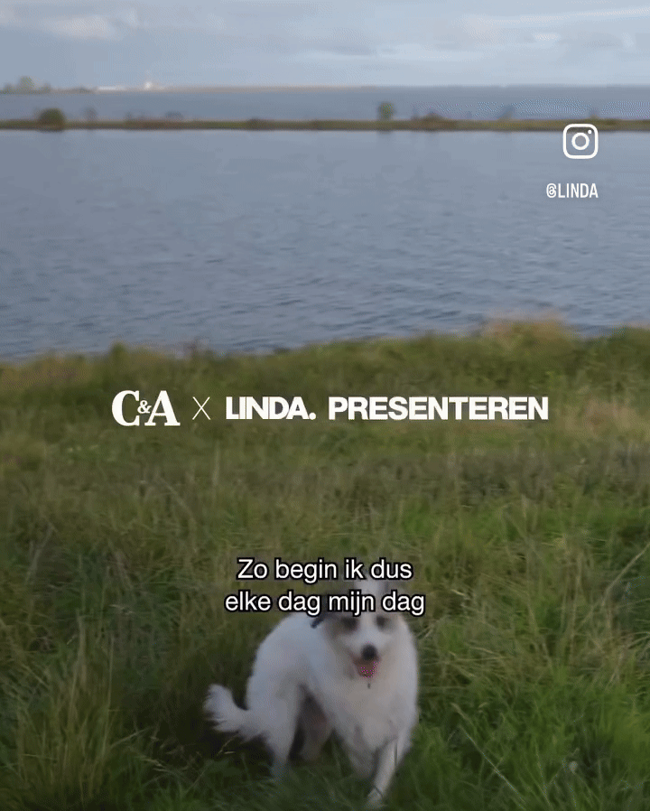 Animatie Weer of geen weer.gif